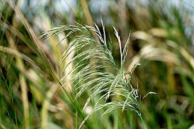 《刺客信条：影》新概念艺术图 游戏场景壮观绝美