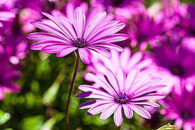 《时间旅者：重生曙光》IGN评7分 引人入胜但战斗平庸