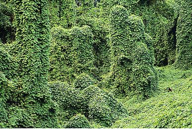 《赛博朋克2077》PC热修复上线 可能会影响Mod使用