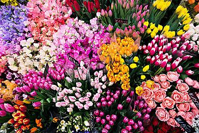 《消逝的光芒：困兽》将于9月19日上线 —— 对不起我们跳票了